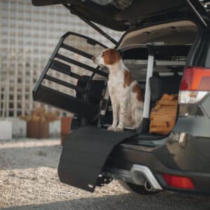 Thule Allax Dog Crate